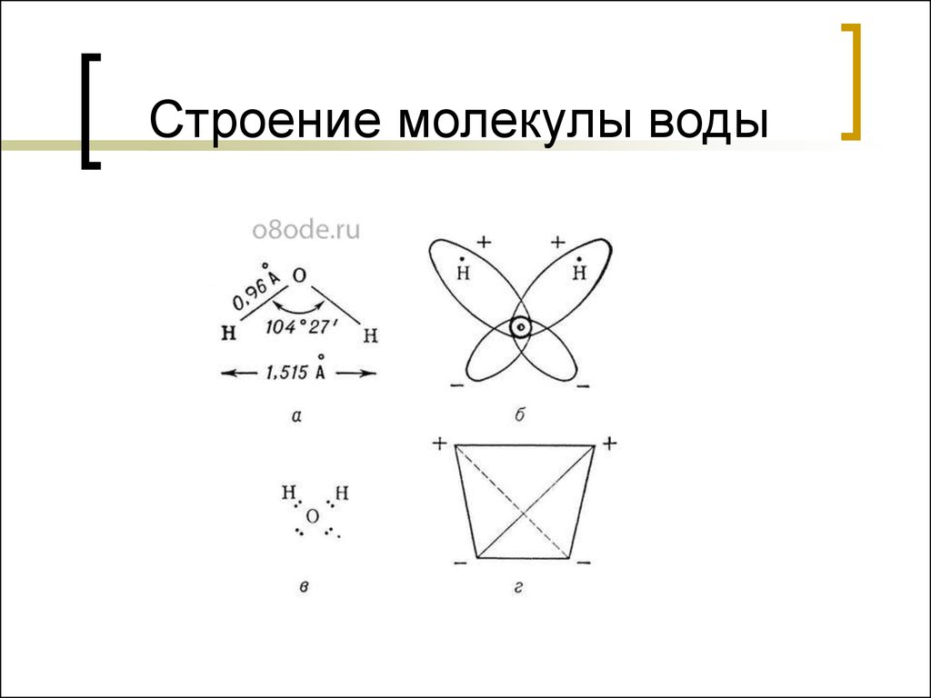 Схема строения молекулы