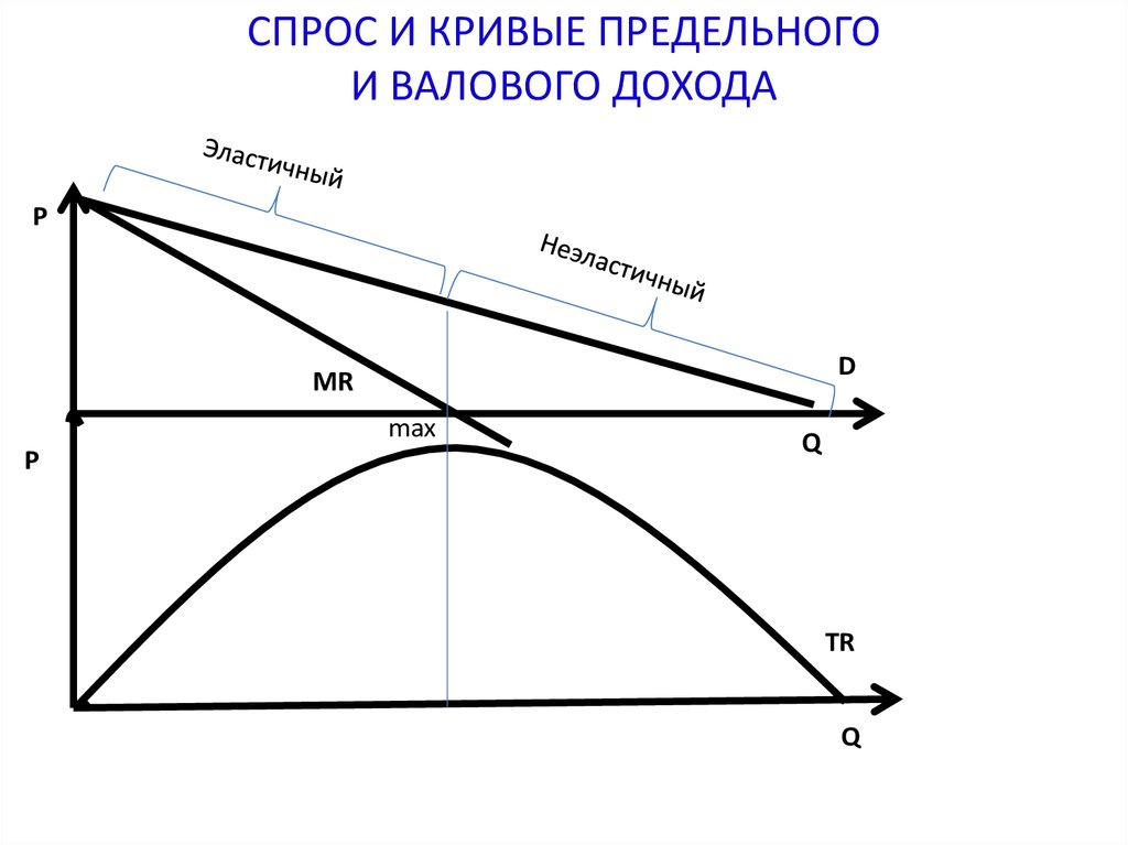 Деятельность фирмы в условиях конкуренции план