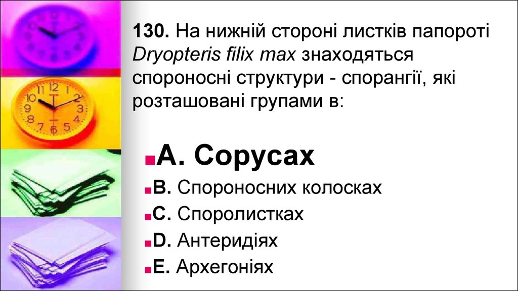 130. На нижнiй сторонi листкiв папоротi Dryopteris filix max знаходяться спороноснi структури - спорангiї, якi розташованi групами в: