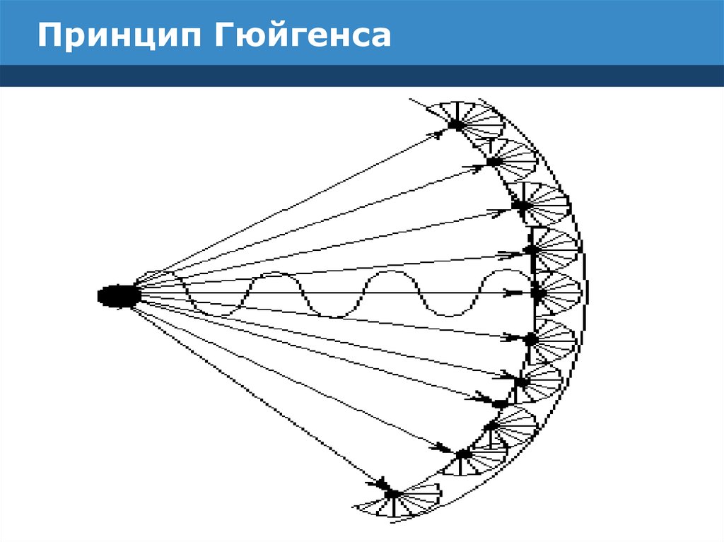 Принцип гюйгенса френеля рисунок