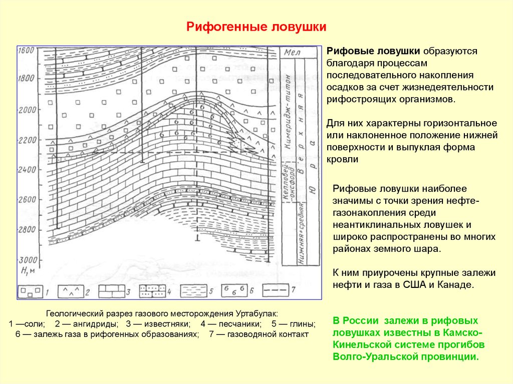 Характеристика месторождений. Рифовые ловушки нефти и газа. Газовая залежь разрез. Рифогенные залежи нефти. Рифогенные ловушки.