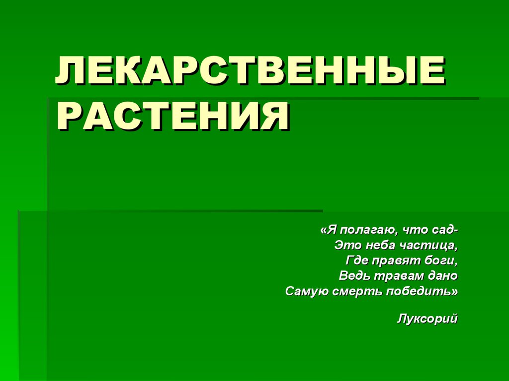 Презентация лекарственные цветы