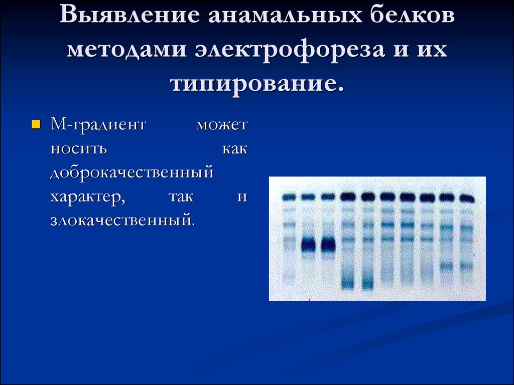 М градиент инвитро. Анализ м градиент. Электрофорез белков. Обнаружение белков. Выявления белков.