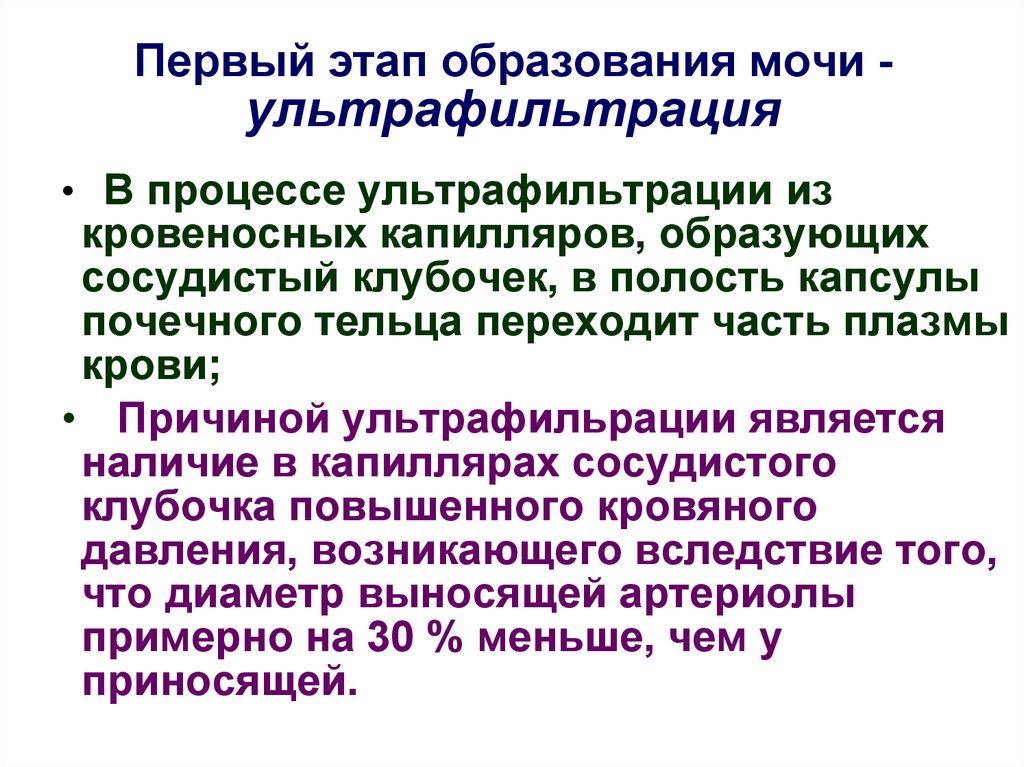 Процессы диуреза. Процесс ультрафильтрации мочи. Фазы образования мочи. Ультрафильтрация почек. Этапы образования мочи биохимия.