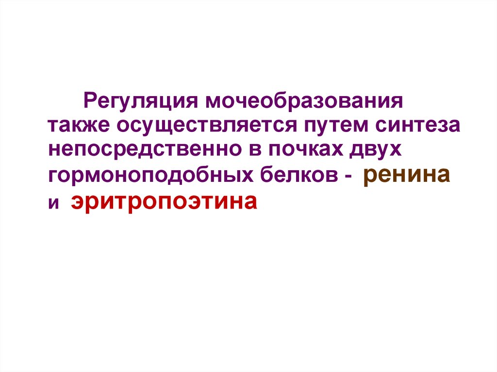 Также осуществляется. Регуляция мочеобразования. Регуляция мочеобразования биохимия. Регуляция мочеобразования осуществляется. 10. Регуляция мочеобразования..