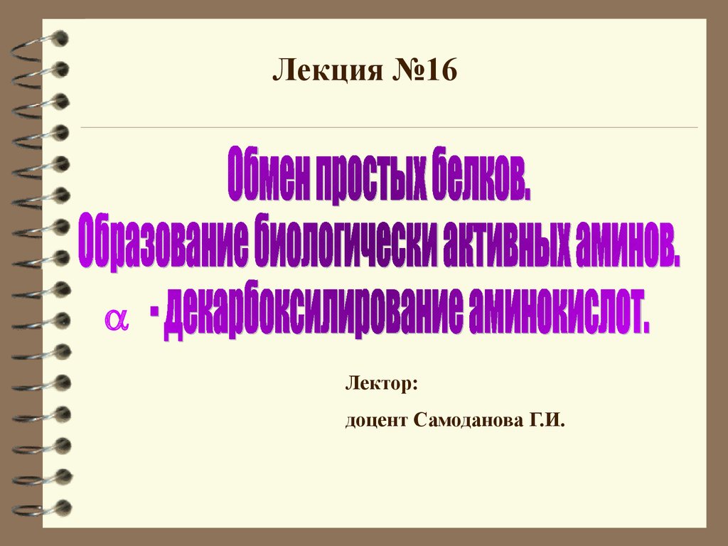 Презентация 16