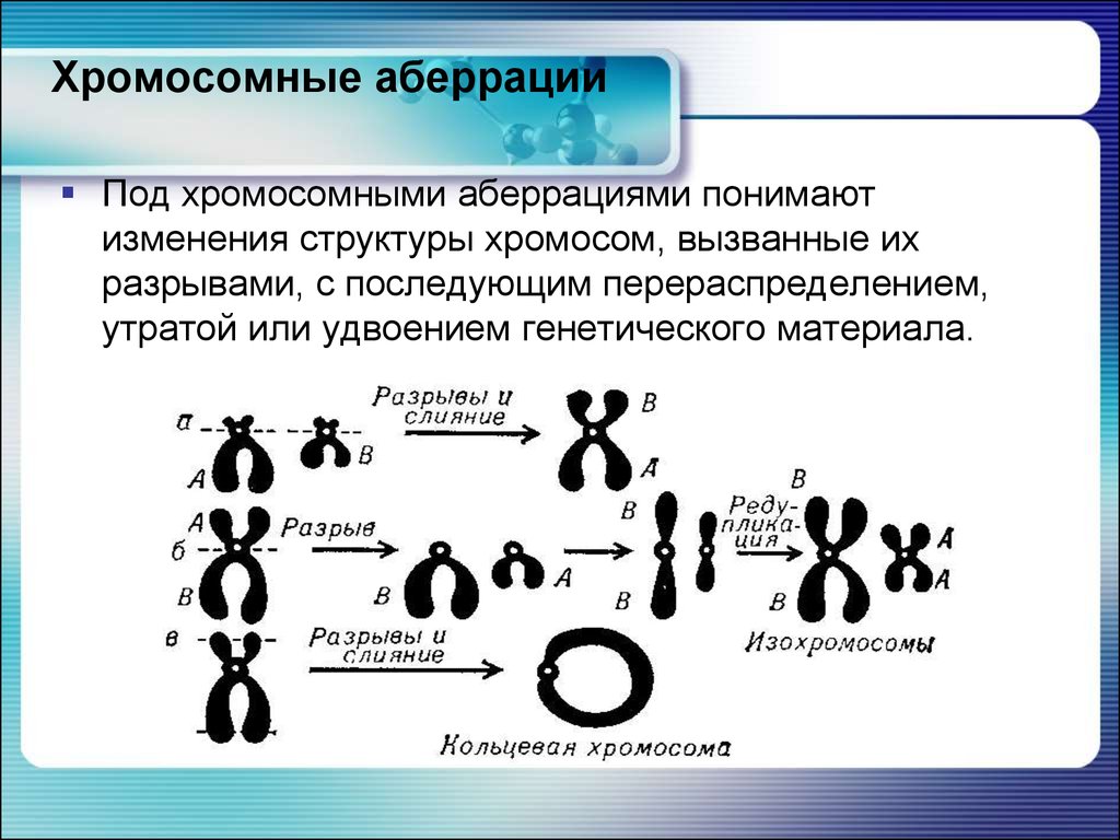 Изменение строения хромосом. Типы хромосомных аберраций. Структурные аберрации хромосом. Хромосомные обсервации. Хроиосомные абьерации.