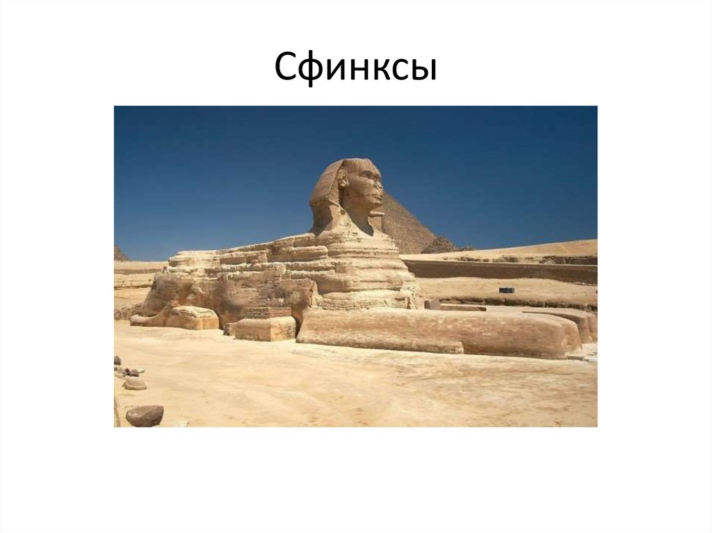 Сфинксы