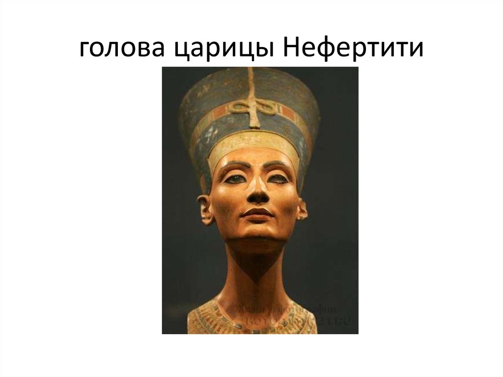 голова царицы Нефертити