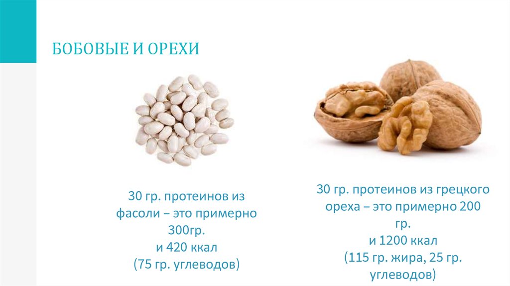Сколько грамм орехов можно