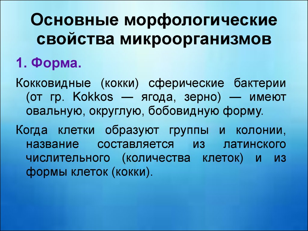 Основные группы микроорганизмов