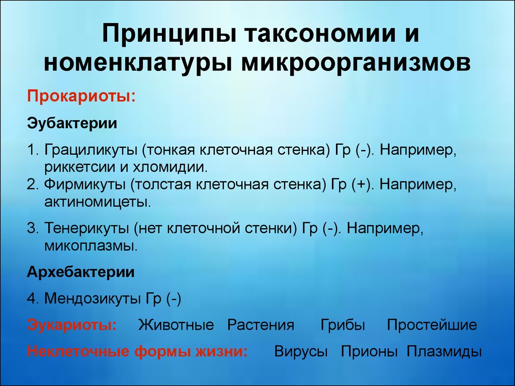 Хломидий. Актиномицеты таксономия. Принципы классификации микроорганизмов. Основные принципы классификации микробов. Принципы систематики микроорганизмов.