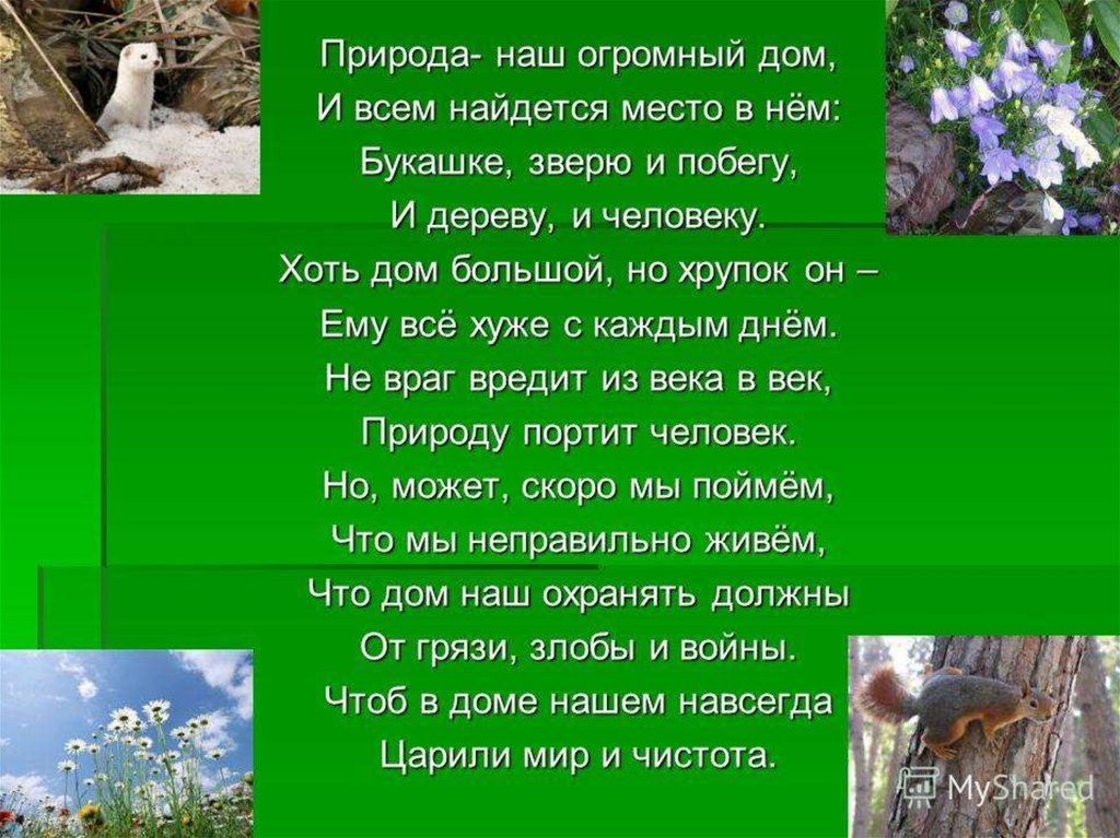 Текст человек и природа. Природа наш огромный дом и всем найдется место в нем. Проект охрана природы. Презентация на тему природа. Природа для презентации.