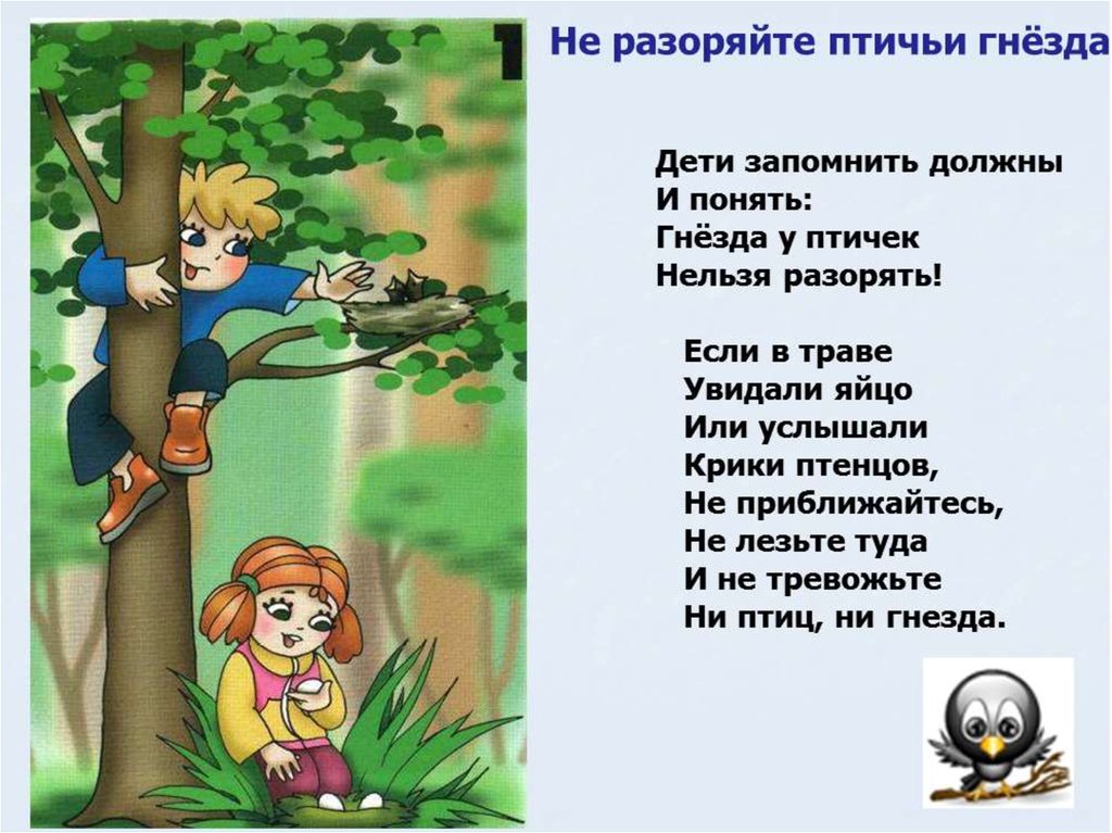 Как вести себя на природе 1 класс презентация