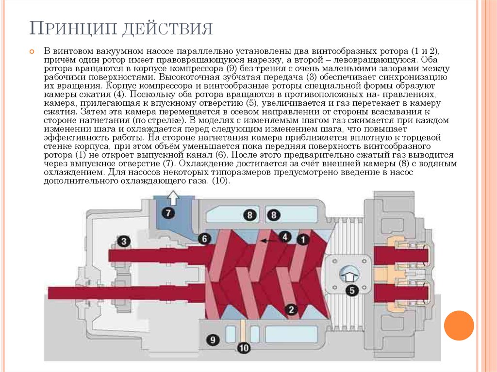 Действие насосов. Винтовой вакуумный насос принцип действия. Спиральные вакуумные насосы принцип действия. Промышленная винтовой вакуумный насос Elmo VSI 100 tvistir обслуживание схема. Спиральный вакуумный насос принцип работы.