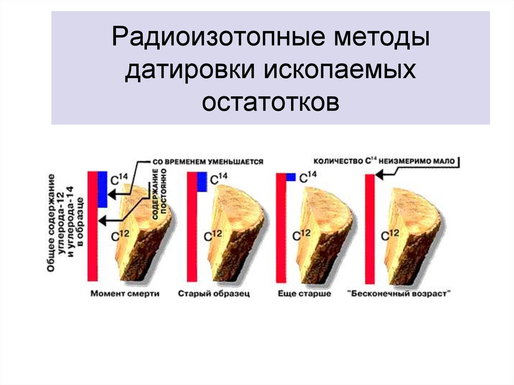 Радиоуглеродный анализ картинки