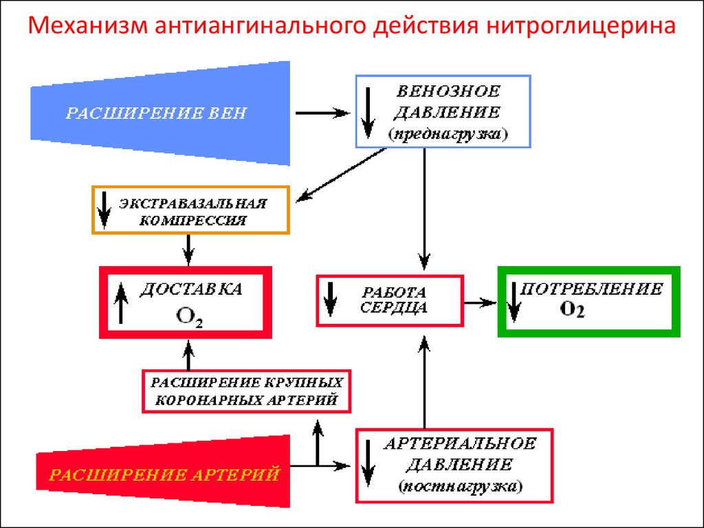 Антиангинальные средства схема