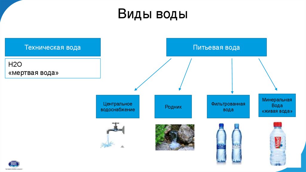 Чем отличается водный. Виды воды. Виды питьевой воды. Основные типы воды. Ворд вид.