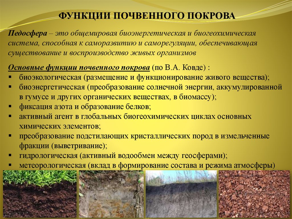 Изменения состояния почвы. Почвенный Покров. Функции почвенного Покрова. Почвенная характеристика почвы. Экологические функции почв.