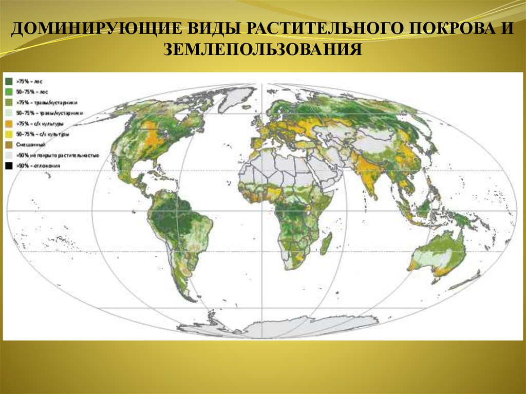 Преобладающий вид. Типы растительного Покрова. Виды Покрова земли.