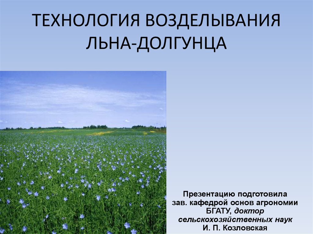 Технология возделывания. Посевы льна технология возделывания. Технология возделывания льна-долгунца. Лен возделывание технология возделывания. Технология выращивания льна.