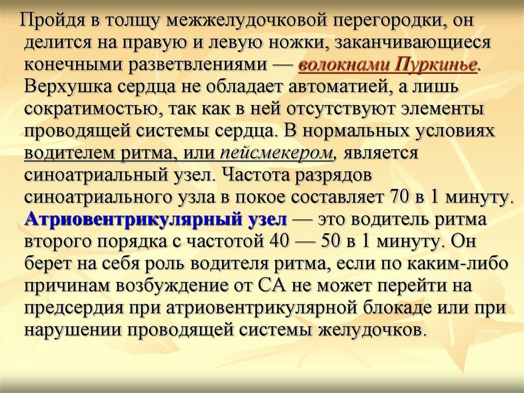 Сократимость сердца физиология. Электрическая активность клеток миокарда.