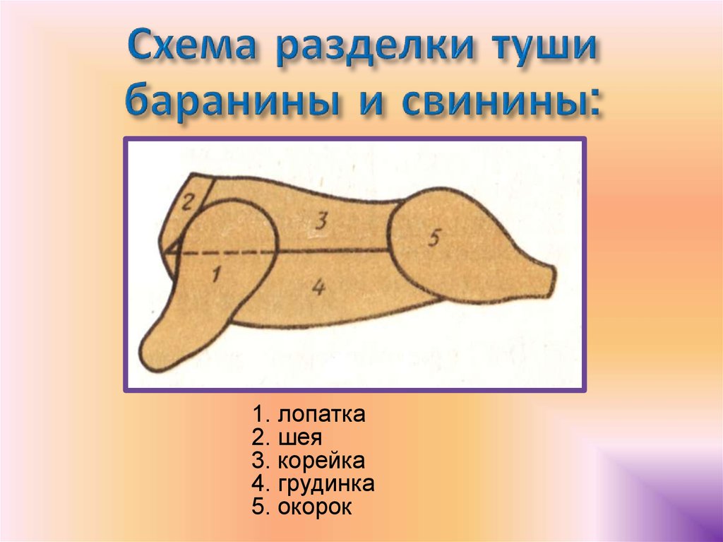 Схемы разделки туш