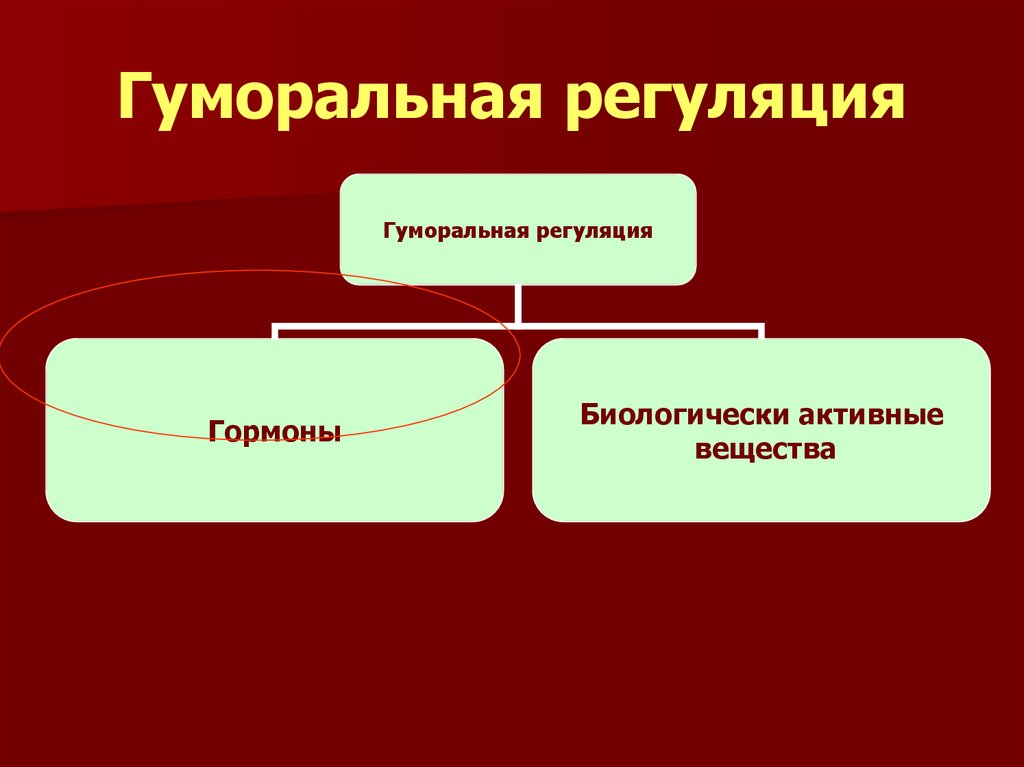 Гуморальный организм. Пути гуморальной регуляции. Гумоллярная регуляция. Гуморальная регуляция гуморальная. Местная гуморальная саморегуляция.