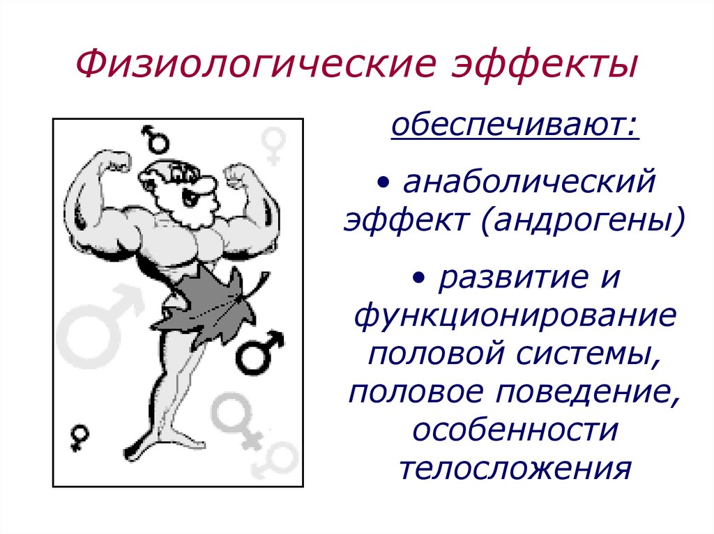 Анаболический эффект. Андрогены физиологический эффект. Физиологические эффекты Андра генов. Физиологическое действие андрогенов. Анаболический эффект андрогенов.