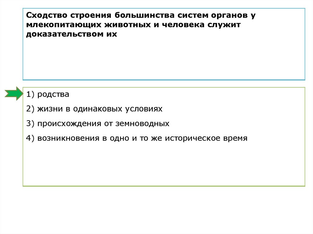 Сходство человека и млекопитающих свидетельствует об их родстве и общем плане строения