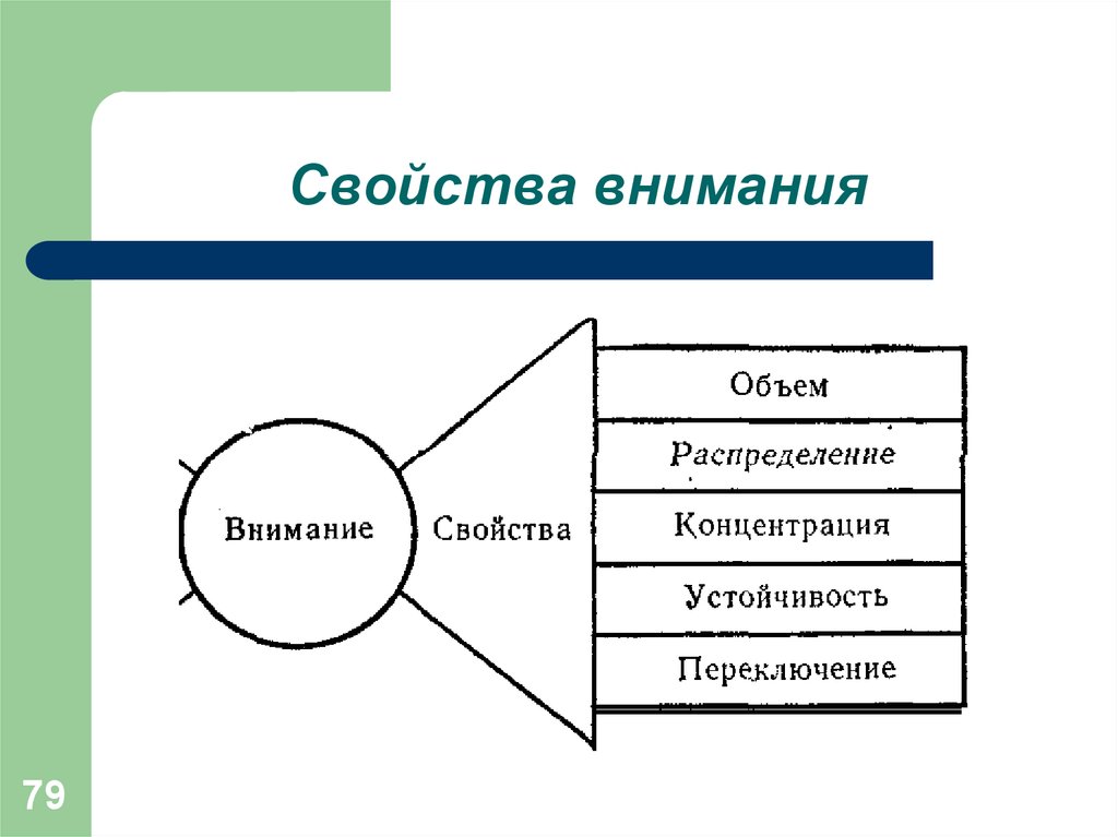 Свойства внимания схема