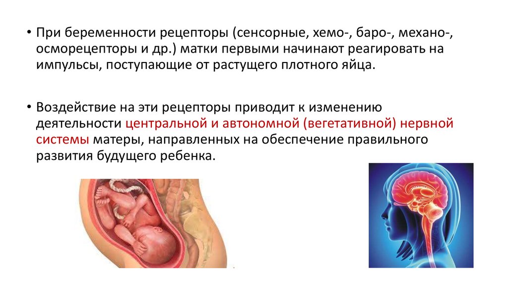 Течение беременности у человека. ГДС У беременных. Кровооснанавливающая система при беременно. Беременность в углу матки на раннем. Хемо-, фото-, Баро-, Осмо рецепторы и др..