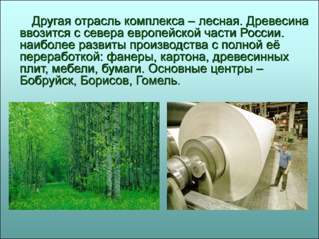 Отраслевые комплексы. Деревообрабатывающее и целлюлозно-бумажное производство. Лесная промышленность европейского севера. Отрасли Лесной промышленности европейского севера. Лесная промышленность центраюф в европейском севере.