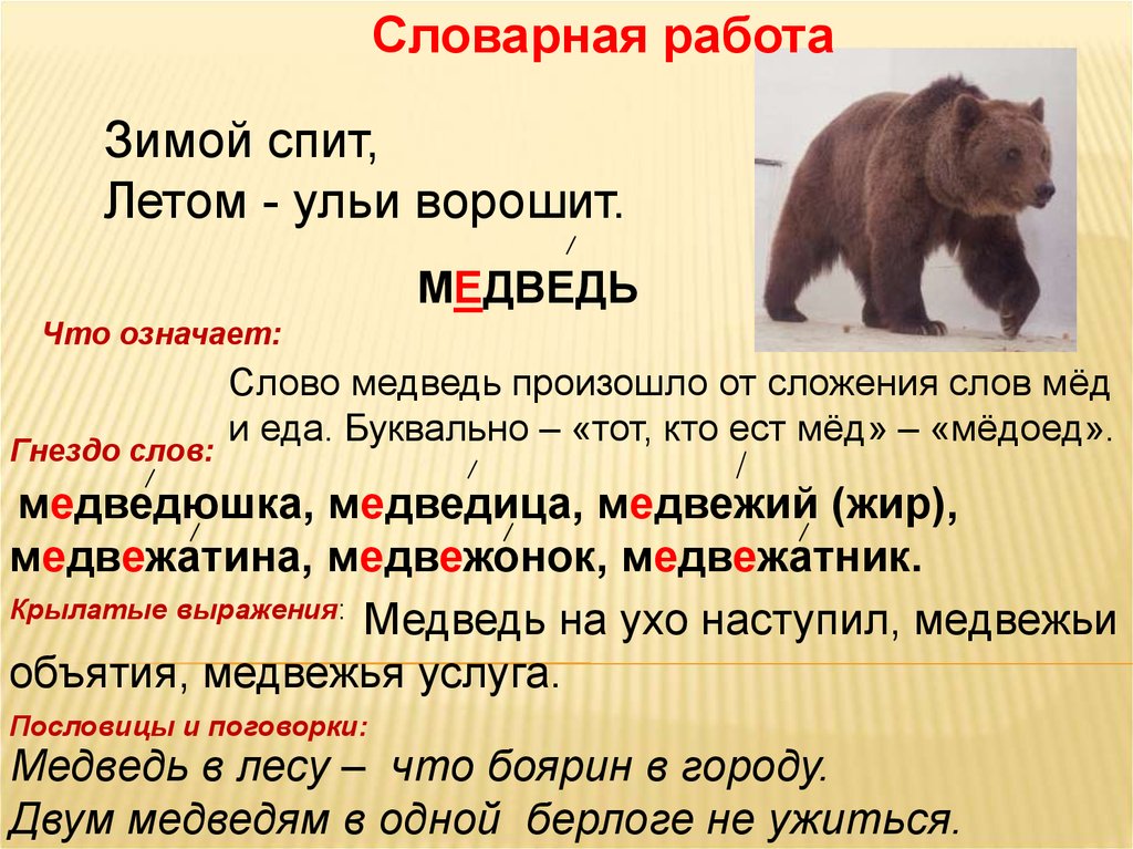 Бурый прилагательное. Проверочное слово к слову медведь. Словарное слово медведь. Медведь проверочное слово. Происхождение слова медведь.