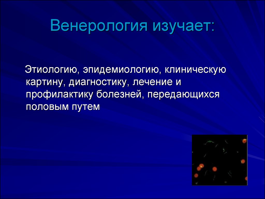 Венерология. Введение в венерологию. Венерология презентация.