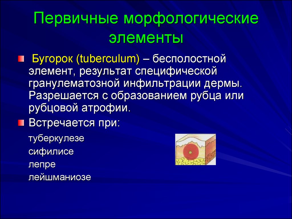 Схема соподчиненности элементов морфологической структуры ландшафта