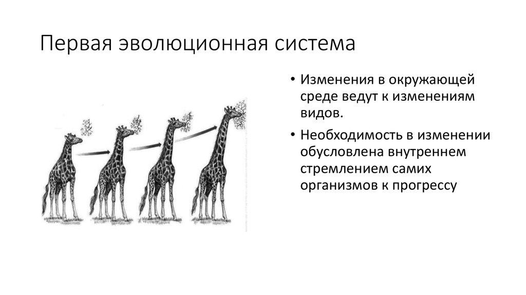 Презентация на тему дисплей их эволюция направления развития