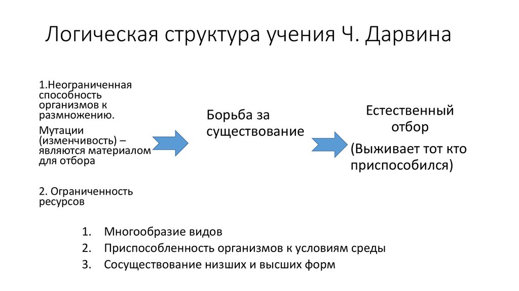 Структура учения