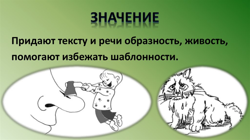 Презентация роль фразеологизмов в современном русском языке