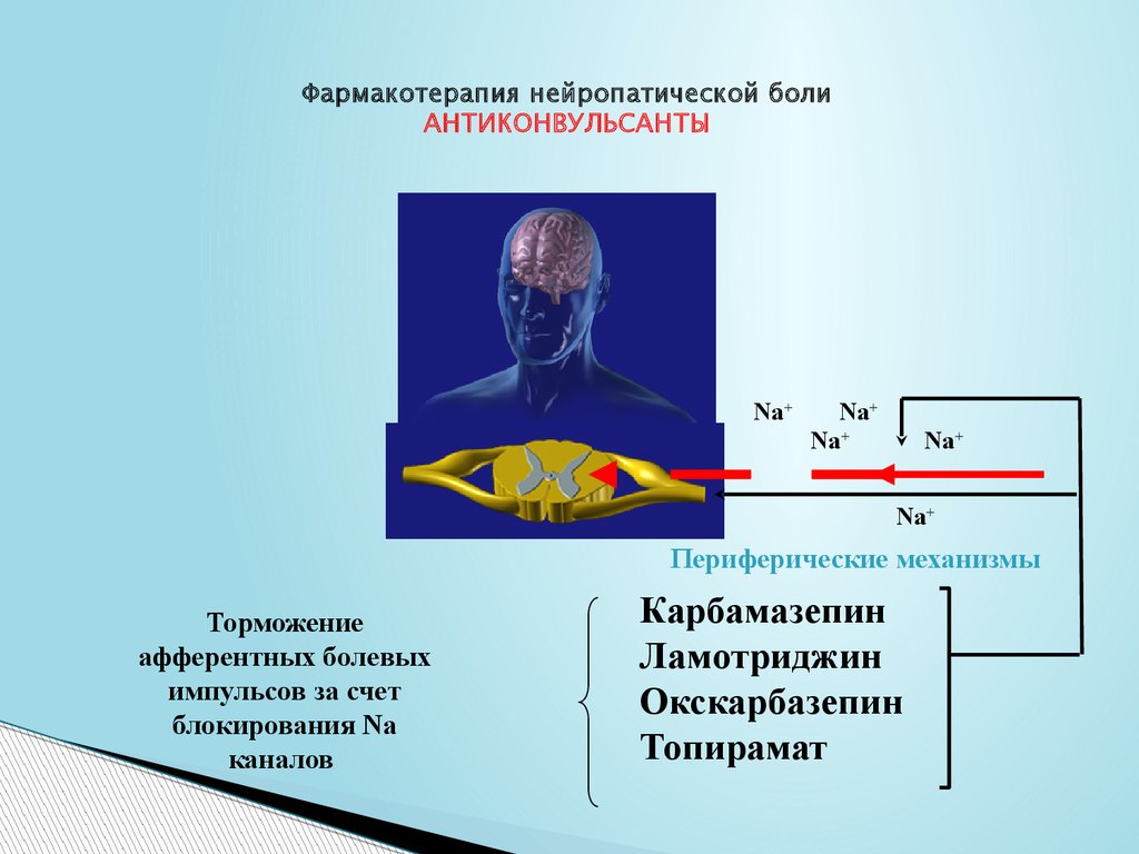 Фармакотерапия нейропатической боли АНТИКОНВУЛЬСАНТЫ