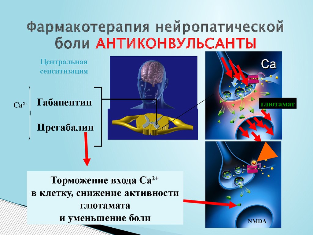 Фармакотерапия нейропатической боли АНТИКОНВУЛЬСАНТЫ