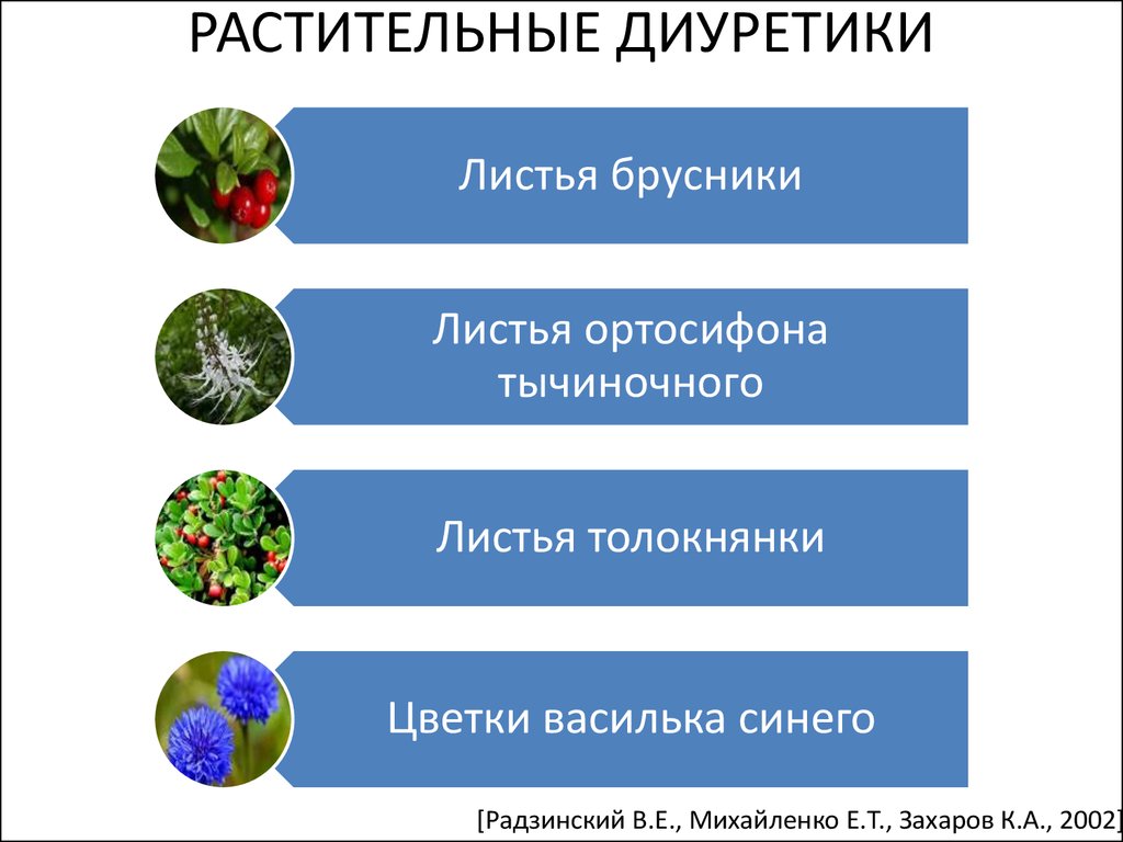 Растительные мочегонные препараты. Растительные диуретики. Растения диуретики. Растительные мочегонные таблетки. Диуретики растительного происхождения препараты.
