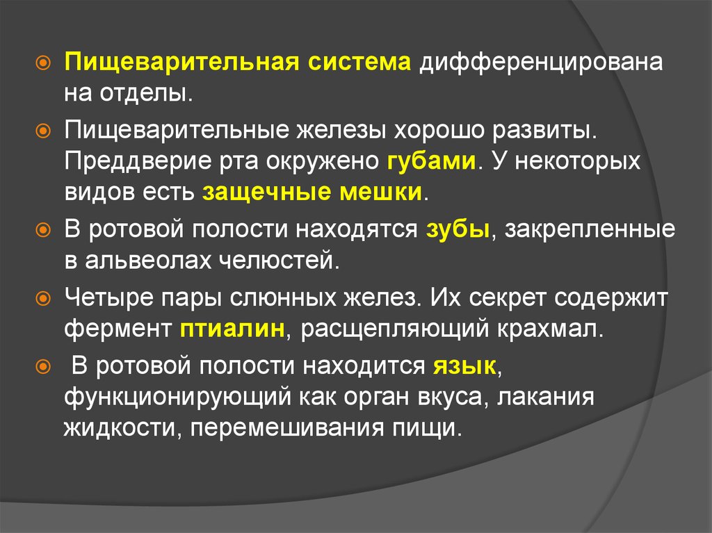 Сквозная дифференцированная пищеварительная система. Дифферентная система. Пищеварительная система сквозная дифференцирована на отделы. Дифференцированная система. Пищеварительная система сквозная дифференция на отдела.