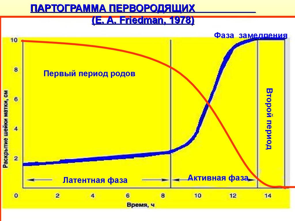 Составление плана ведения физиологических родов