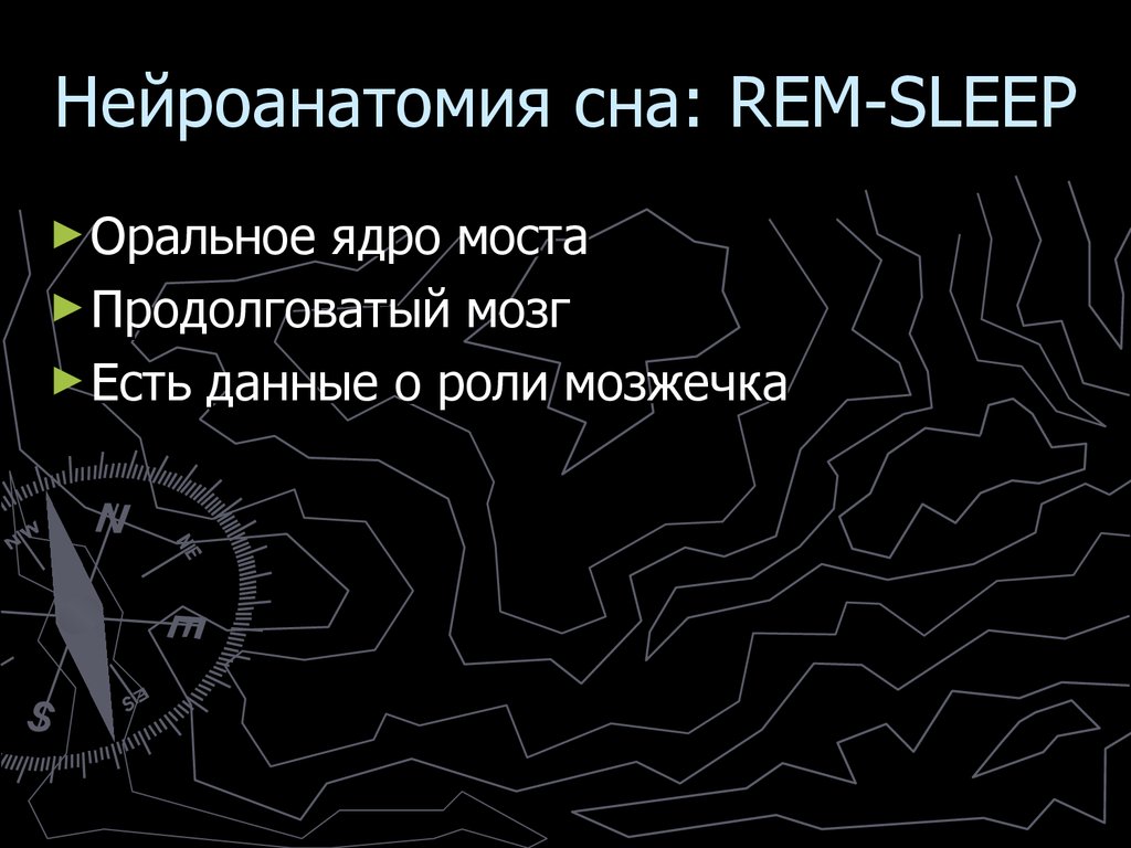 Психофизиология сна. Нейроанатомия сна. Нейроанатомия эмоций. Нейроанатомия эмоций кратко. КФУ нейроанатомия.