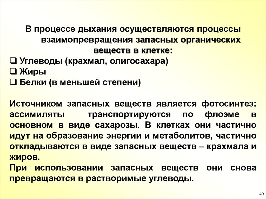 Суть процесса дыхания. Взаимопревращения веществ. Основные процессы дыхания. Сущность процесса дыхания.