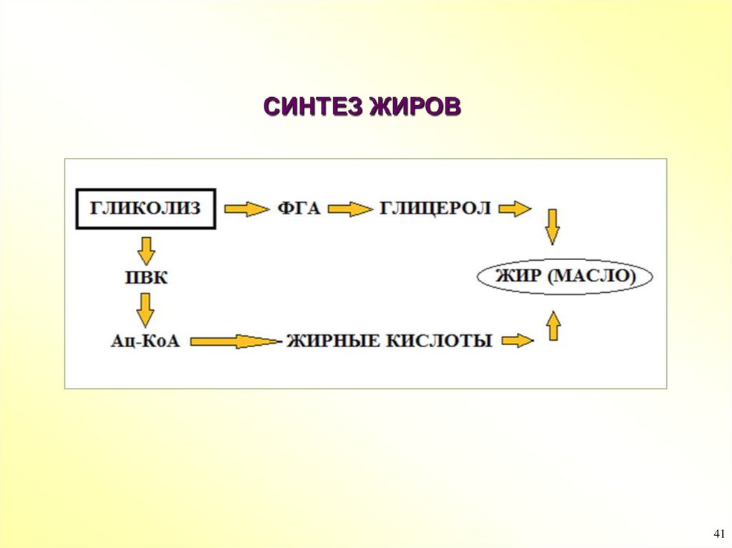 Заполните словесную схему механизма дыхания