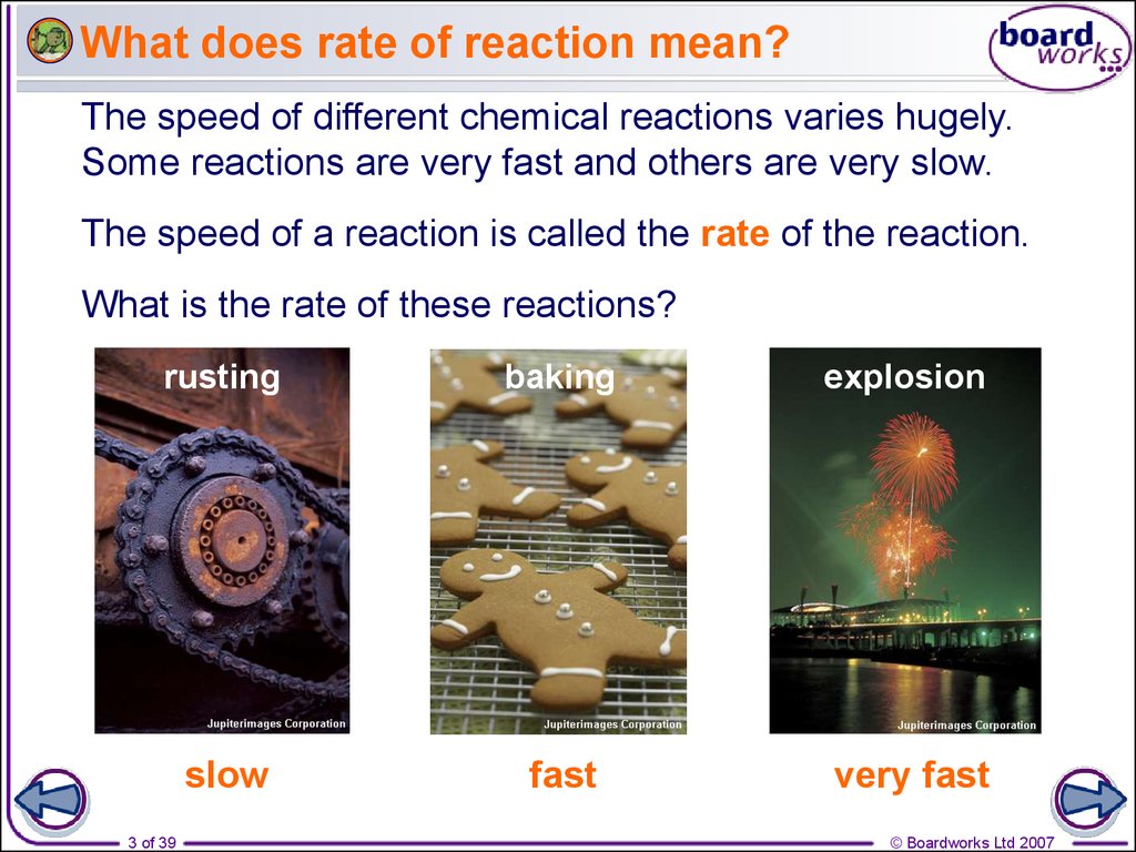 What does rate of reaction mean?