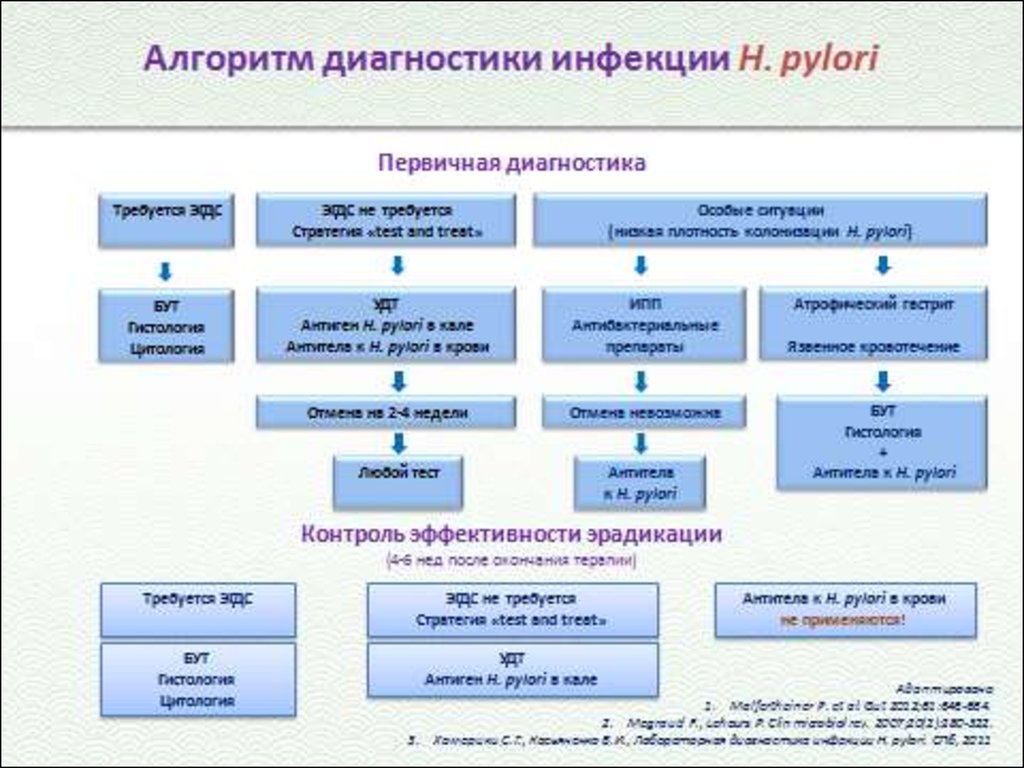 Маастрихт 5 рекомендации схемы эрадикации