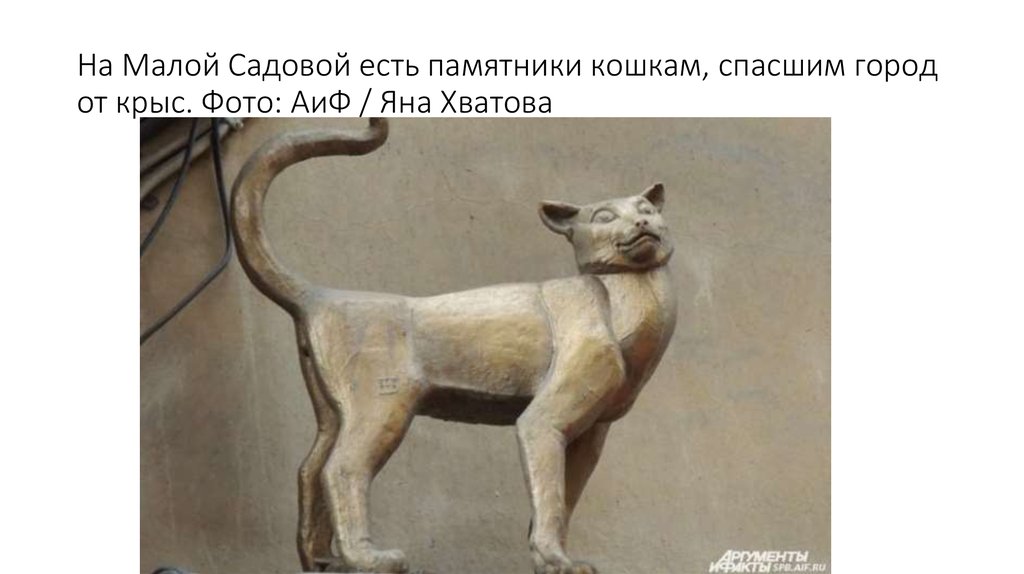 На Малой Садовой есть памятники кошкам, спасшим город от крыс. Фото: АиФ / Яна Хватова